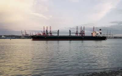 مراحل ترخیص کالا از گمرک بندر عباس